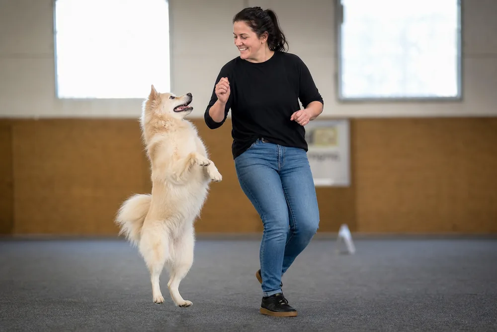 Chien debout sur ses pattes arrière aux côtés de son maître lors d'une figure de dog dancing